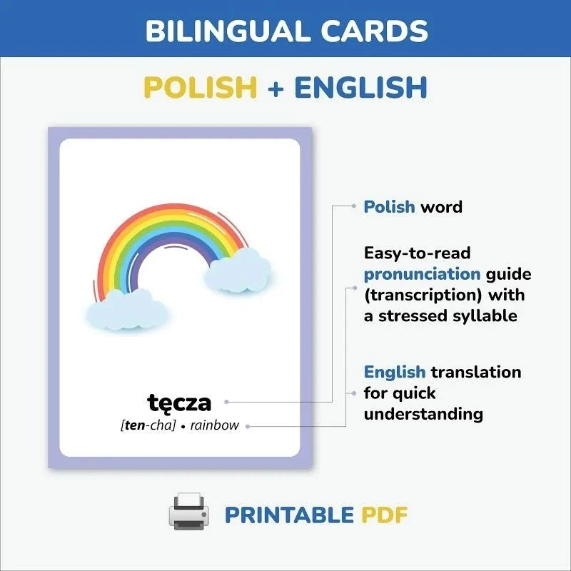 Polish Vocabulary Flashcards manufacturers